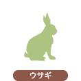 ウサギ